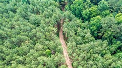 Whiskey Ridge Tract 63