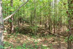 Whiskey Ridge Tract 63