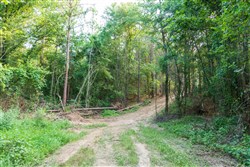 Whiskey Ridge Tract 63