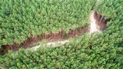 Whiskey Ridge Tract 64