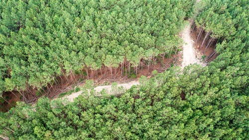 Whiskey Ridge Tract 64