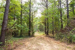 Whiskey Ridge Tract 64