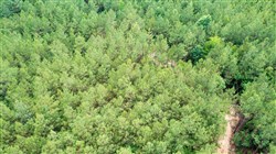 Whiskey Ridge Tract 64