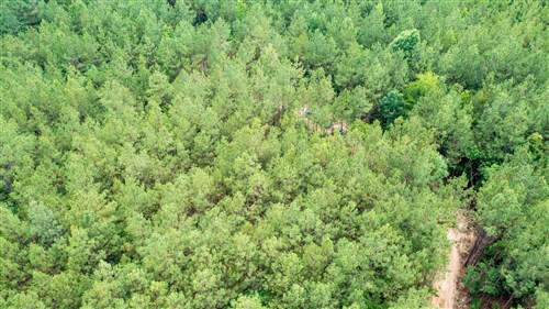 Whiskey Ridge Tract 64