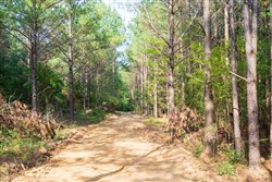 Whiskey Ridge Tract 64