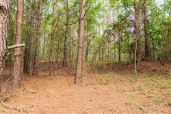 Whiskey Ridge Tract 64