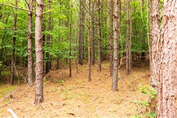 property photo for Whiskey Ridge Tract 65, 9.89 acres for sale in Henderson County, Tennessee