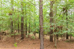 property photo for Whiskey Ridge Tract 65, 9.89 acres for sale in Henderson County, Tennessee