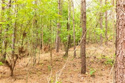 property photo for Whiskey Ridge Tract 65, 9.89 acres for sale in Henderson County, Tennessee