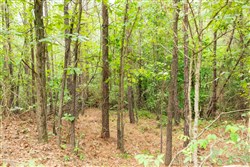 property photo for Whiskey Ridge Tract 65, 9.89 acres for sale in Henderson County, Tennessee