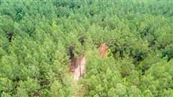 property photo for Whiskey Ridge Tract 66, 9.02 acres for sale in Henderson County, Tennessee