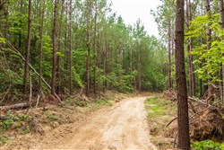property photo for Whiskey Ridge Tract 66, 9.02 acres for sale in Henderson County, Tennessee