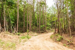 property photo for Whiskey Ridge Tract 66, 9.02 acres for sale in Henderson County, Tennessee
