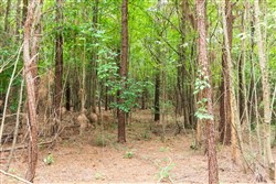 Whiskey Ridge Tract 67