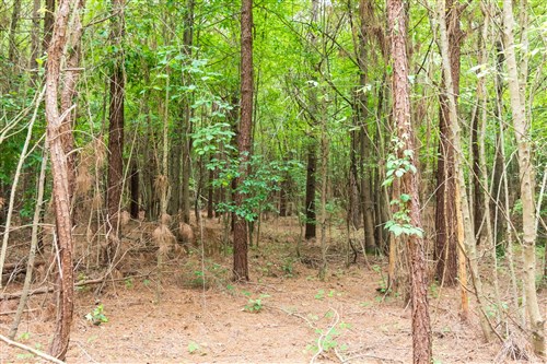 Whiskey Ridge Tract 67