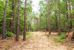 Whiskey Ridge Tract 67