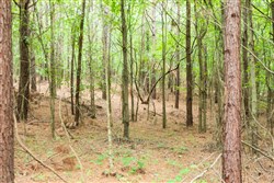 Whiskey Ridge Tract 67