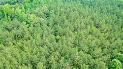 property photo for Whiskey Ridge Tract 68, 7.56 acres for sale in Henderson County, Tennessee
