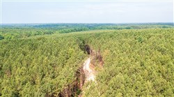 property photo for Whiskey Ridge Tract 68, 7.56 acres for sale in Henderson County, Tennessee