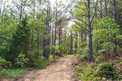 property photo for Whiskey Ridge Tract 68, 7.56 acres for sale in Henderson County, Tennessee