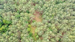 property photo for Whiskey Ridge Tract 68, 7.56 acres for sale in Henderson County, Tennessee