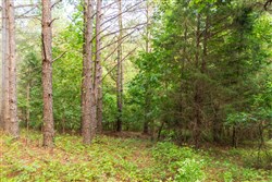 property photo for Whiskey Ridge Tract 68, 7.56 acres for sale in Henderson County, Tennessee
