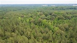 Whiskey Ridge Tract 69