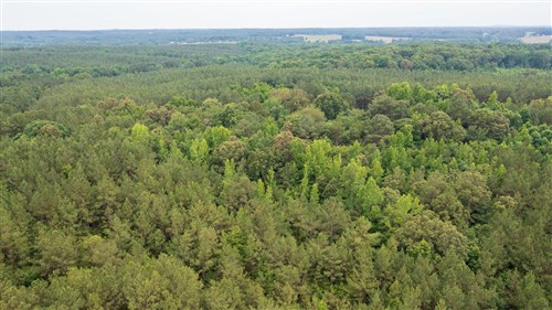 Whiskey Ridge Tract 69