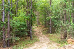 Whiskey Ridge Tract 69