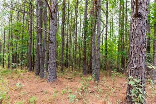 Whiskey Ridge Tract 69