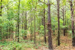 Whiskey Ridge Tract 69