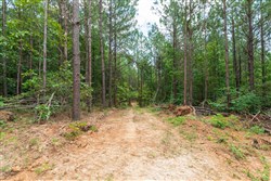 property photo for Whiskey Ridge Tract 7, 7.86 acres for sale in Henderson County, Tennessee