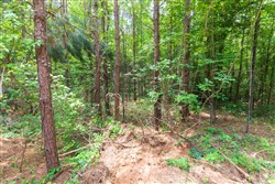 property photo for Whiskey Ridge Tract 7, 7.86 acres for sale in Henderson County, Tennessee