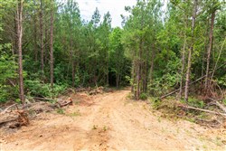 property photo for Whiskey Ridge Tract 7, 7.86 acres for sale in Henderson County, Tennessee