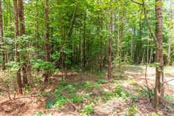 property photo for Whiskey Ridge Tract 7, 7.86 acres for sale in Henderson County, Tennessee