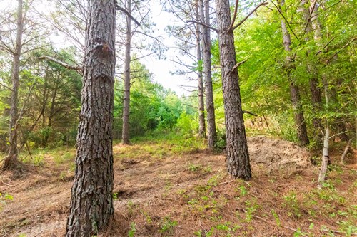 Whiskey Ridge Tract 70