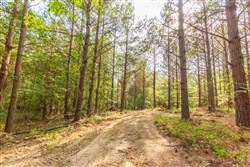 Whiskey Ridge Tract 70