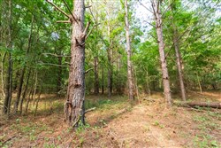 Whiskey Ridge Tract 70