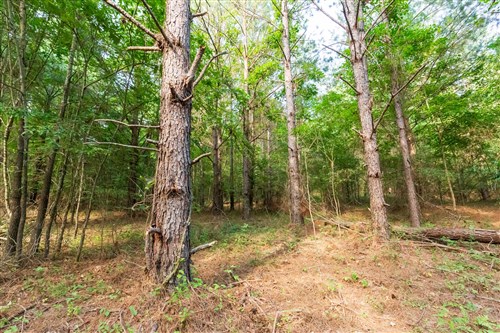 Whiskey Ridge Tract 70