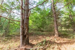 Whiskey Ridge Tract 70