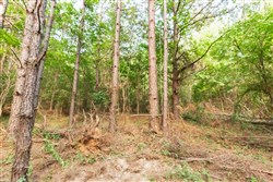 Whiskey Ridge Tract 70