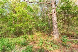 Whiskey Ridge Tract 70