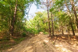 property photo for Whiskey Ridge Tract 71, 16.79 acres for sale in Henderson County, Tennessee
