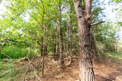 property photo for Whiskey Ridge Tract 71, 16.79 acres for sale in Henderson County, Tennessee