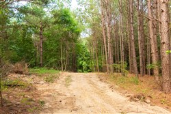 property photo for Whiskey Ridge Tract 72, 8.08 acres for sale in Henderson County, Tennessee
