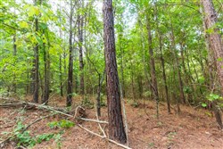 property photo for Whiskey Ridge Tract 72, 8.08 acres for sale in Henderson County, Tennessee