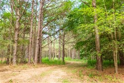 Whiskey Ridge Tract 73