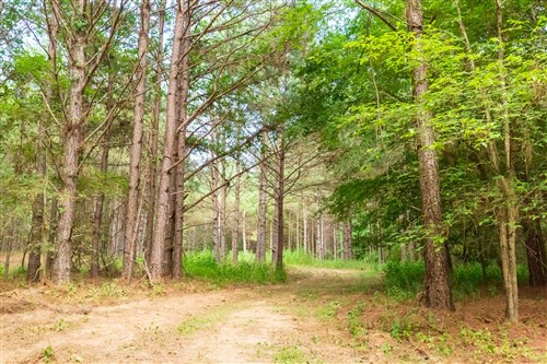 Whiskey Ridge Tract 73