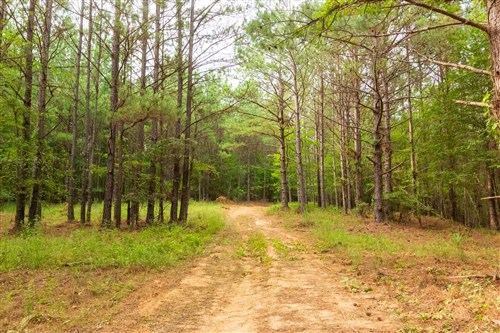 Whiskey Ridge Tract 73