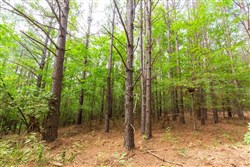 Whiskey Ridge Tract 73